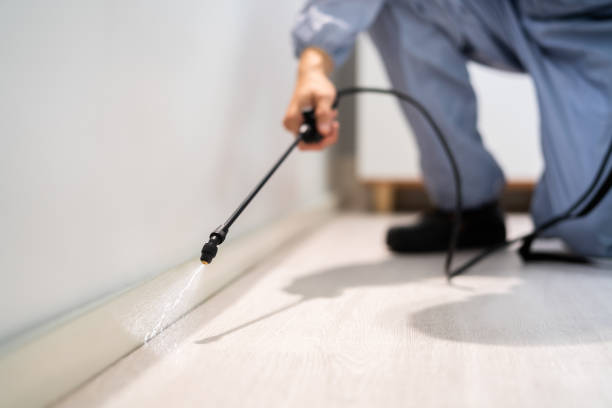 Bed Bug Pre-Treatment Preparation Assessment in Hudson