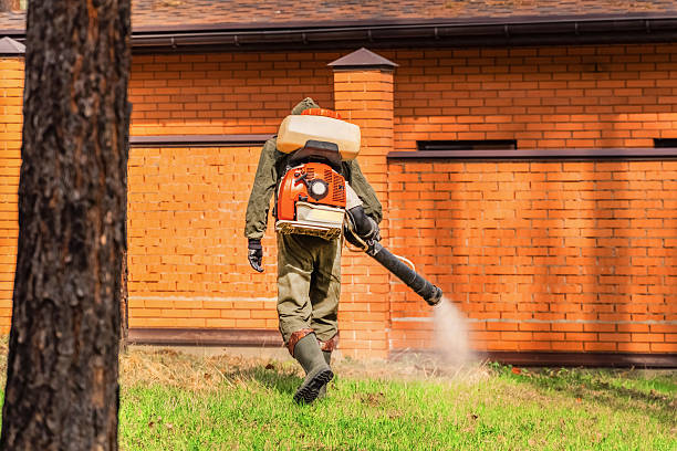 Bed Bug Clearance Verification and Documentation in Hudson